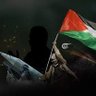 Ahmed Shaaban's profile picture
