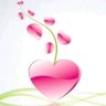 عبيده محمد's profile picture
