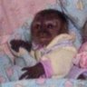 gabriel's profile picture