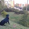 MA 的头像