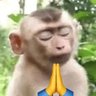 Kainã profil fotoğrafı