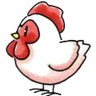 Фото профиля Chicken Lover