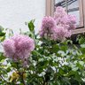 悠🪐 profil fotoğrafı