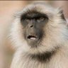 Profilbild von mume wangu ๐