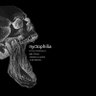 Фото профиля nocturnal