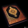 المقرئ محمد صقر 的头像