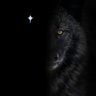 Profilbild von V