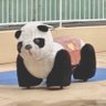 Profilbild von 雨