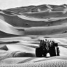 ساير profil fotoğrafı