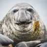 ゾウ's profile picture