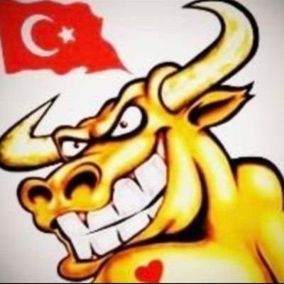 Siyam_Öküzü's profile picture