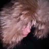theacidking's profile picture