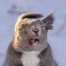 Phil Mckracken's profile picture