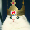 Kittengewehr KTN-44 的头像