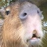 村中's profile picture