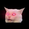 0xCatoshi 的头像