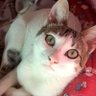 Lilian 的头像
