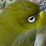 おみ profil fotoğrafı