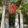 Profilbild von Recep Tarhan