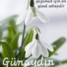 Фото профиля Cafer Gündoğan