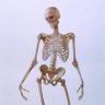 Gracinhoduxiu's profile picture