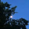 Фото профиля 肖邦夜曲