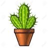 Trump’s Cactus 🌵🇺🇸 profil fotoğrafı