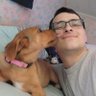 Energestical's profile picture