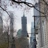 三丹丹 的头像