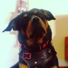 Profilbild von #LaNegra