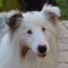 Profilbild von Mor Bon