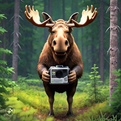 Jim 🇨🇦's profile picture