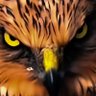 FAST's profile picture