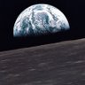 Charles Murlin's profile picture