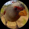Profilbild von ஆதி சிவன்/ Aadhi