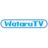 WataruTV's profile picture