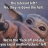 AJzIndignation's profile picture