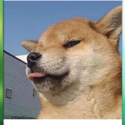 แวมพ์'s profile picture