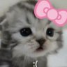 Profilbild von lucky
