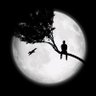 whatisdeadmayneverdie profil fotoğrafı