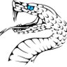 SnakeyJB's profile picture