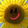 masadayo's profile picture