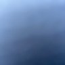 らりり's profile picture