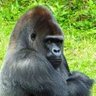 tag_w's profile picture