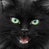 ЗлаКиця's profile picture