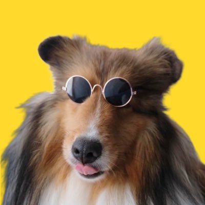 7feb_6pm's profile picture