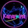 ☪︎·̩͙ ⋆｡ 🩶ྀི ✩⋆꙳ profil fotoğrafı