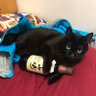 ミツユキ profil fotoğrafı