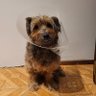 Profilbild von El morocho