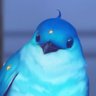 Profilbild von LIGHT